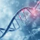 what are polynucleotides